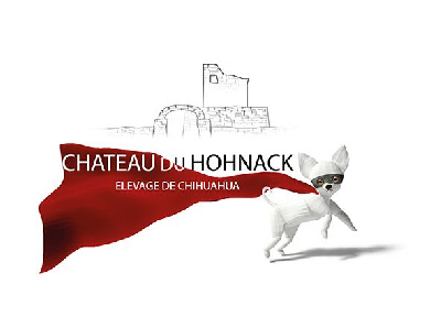 Du Château Du Hohnack - Chihuahua - Portée née le 27/06/2022